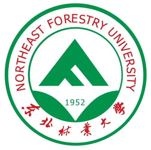 东北林业大学推免2025完整攻略:推免流程、预推免、九推捡漏与上岸路径全解析